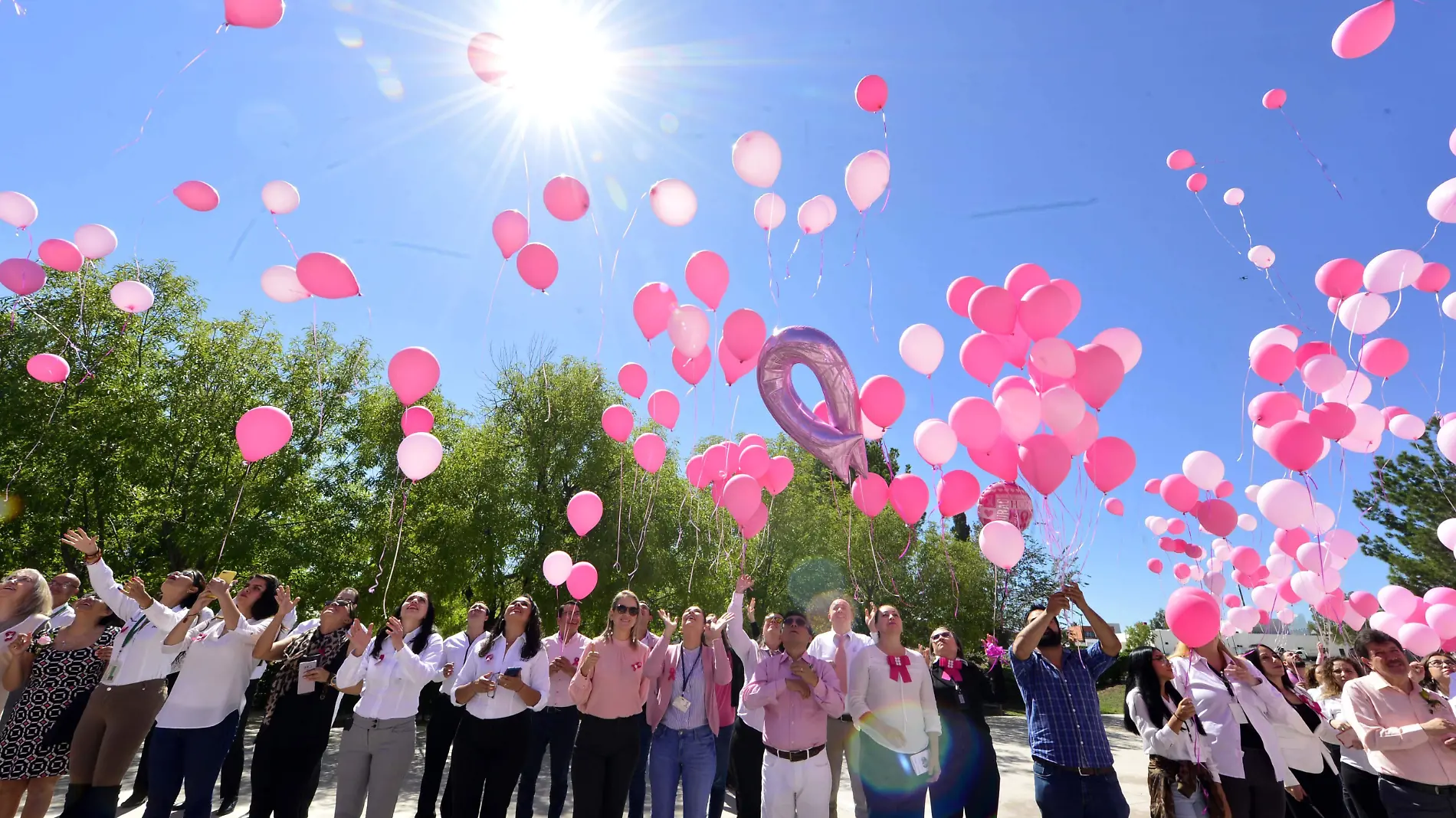 dia mundial lucha vs cancer de mama  (86)